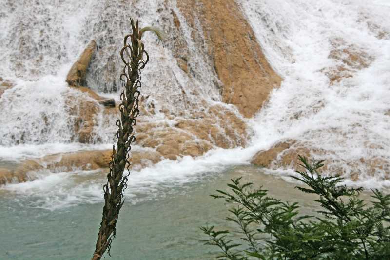 Mexico & Guatemala 2010 - 0293